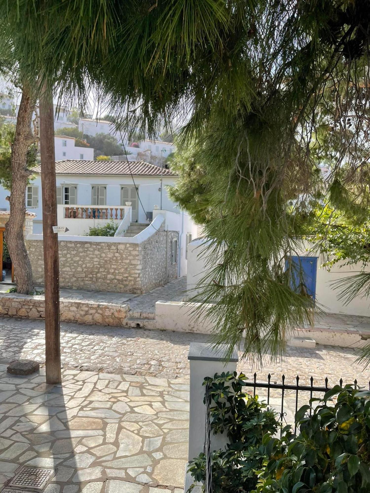 Piteoussa Plus Hydra المظهر الخارجي الصورة
