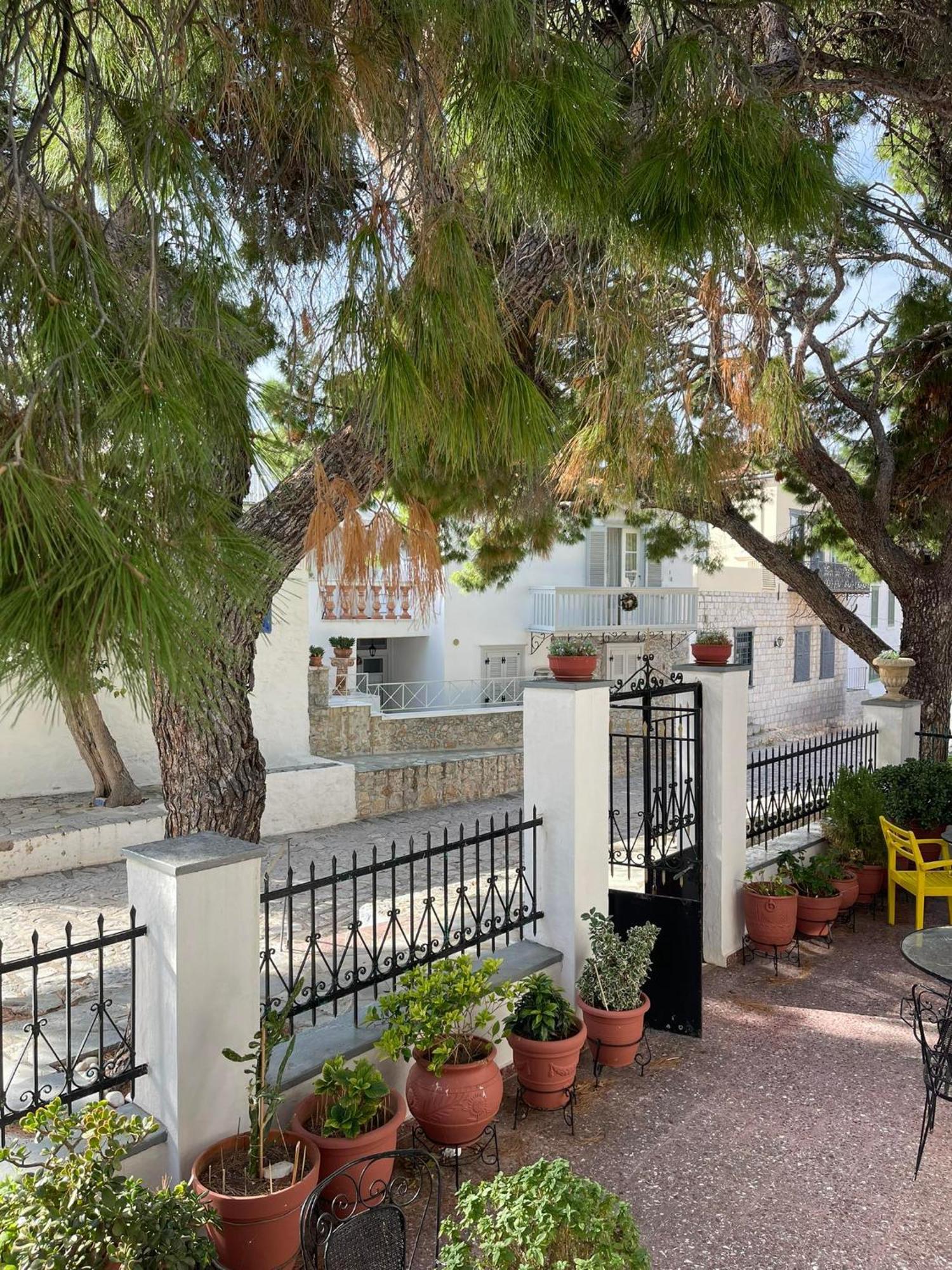 Piteoussa Plus Hydra المظهر الخارجي الصورة